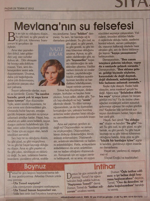 Seyir Defteri – 29 Temmuz 2012 (“SU GİBİ” isimli yazı kimindir?)